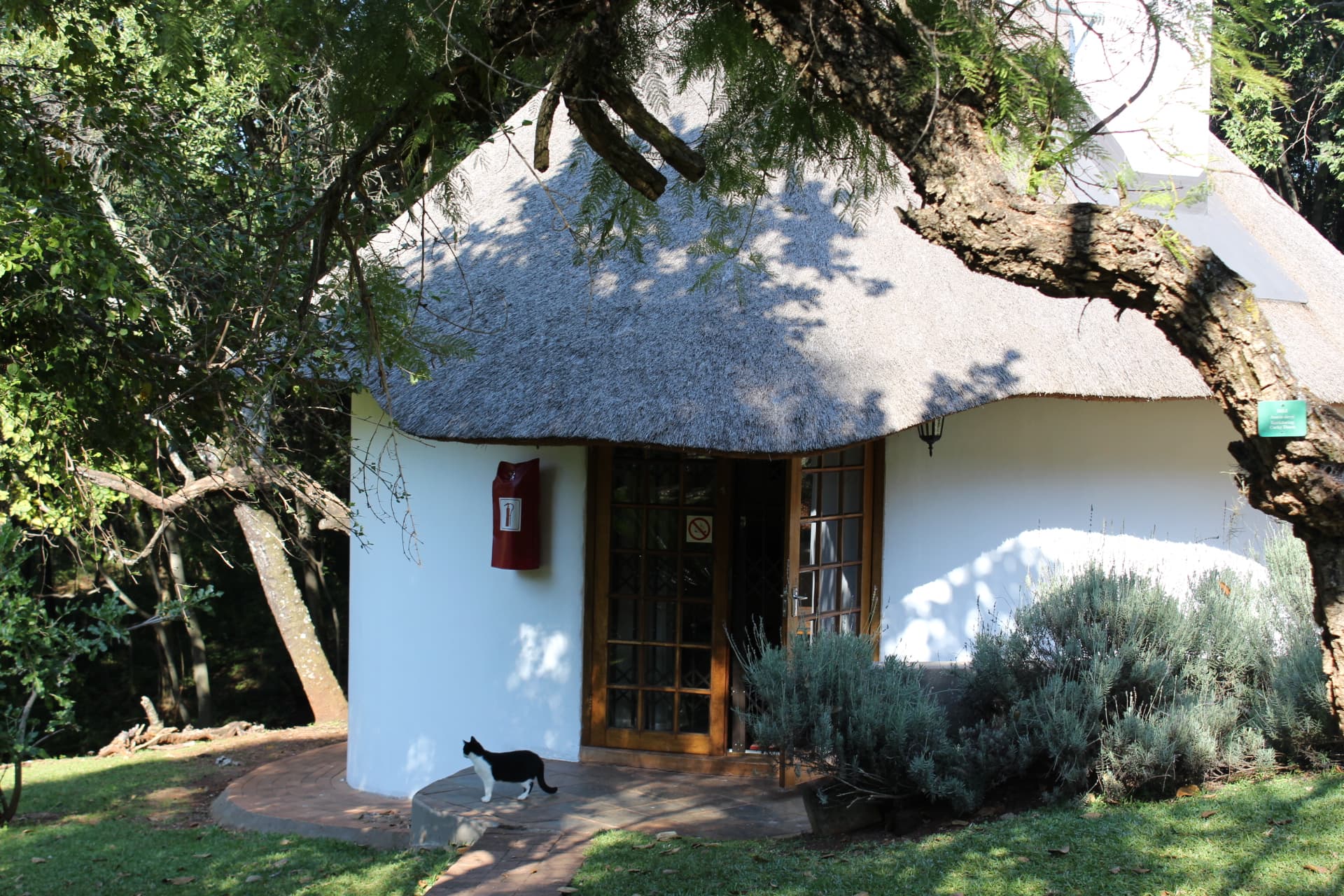 Junior Suite exterior